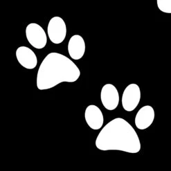 GBA Glimmer Tattoo Stencil - Emoji Paws (5/pk)
