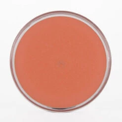 Ben Nye Clown Series Makeup - Auguste FP-100 (1 Oz)