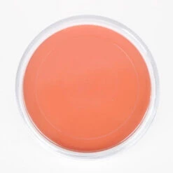 Ben Nye Clown Series Makeup - Light Auguste FP-101 (1 Oz)