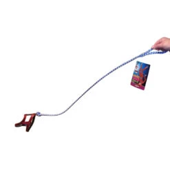 Invisible Dog Leashes